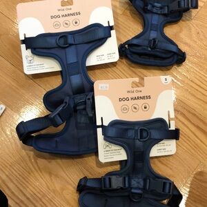 Wild one harnesses new